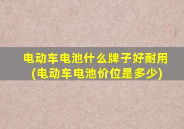 电动车电池什么牌子好耐用(电动车电池价位是多少)