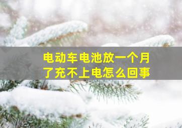 电动车电池放一个月了充不上电怎么回事