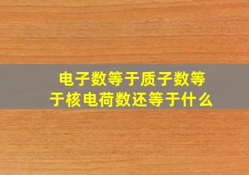 电子数等于质子数等于核电荷数还等于什么