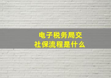 电子税务局交社保流程是什么