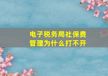 电子税务局社保费管理为什么打不开