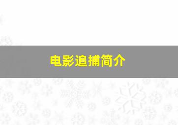 电影追捕简介