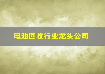 电池回收行业龙头公司