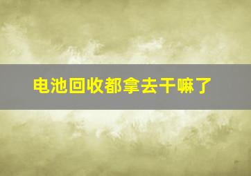 电池回收都拿去干嘛了