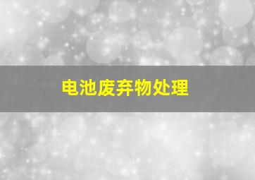 电池废弃物处理