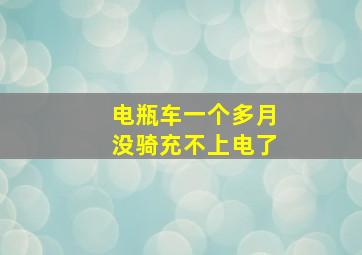 电瓶车一个多月没骑充不上电了