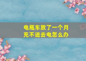 电瓶车放了一个月充不进去电怎么办