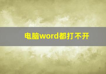 电脑word都打不开