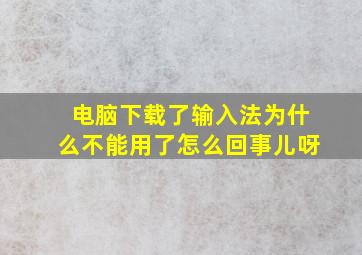 电脑下载了输入法为什么不能用了怎么回事儿呀