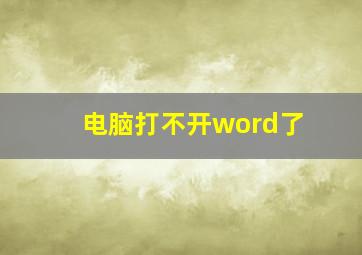 电脑打不开word了