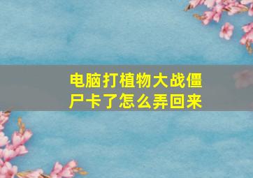 电脑打植物大战僵尸卡了怎么弄回来