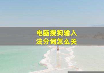 电脑搜狗输入法分词怎么关