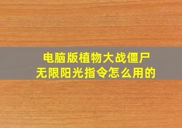 电脑版植物大战僵尸无限阳光指令怎么用的