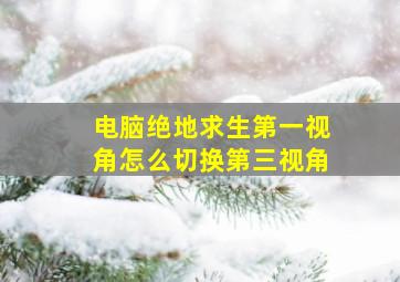 电脑绝地求生第一视角怎么切换第三视角