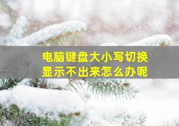 电脑键盘大小写切换显示不出来怎么办呢