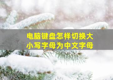 电脑键盘怎样切换大小写字母为中文字母