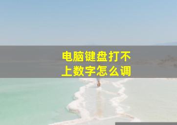 电脑键盘打不上数字怎么调