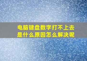 电脑键盘数字打不上去是什么原因怎么解决呢