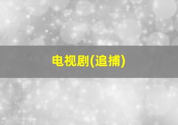 电视剧(追捕)