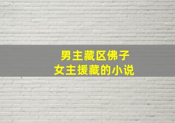 男主藏区佛子女主援藏的小说