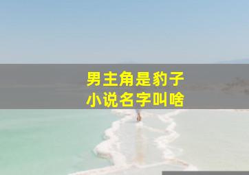 男主角是豹子小说名字叫啥