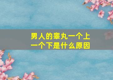 男人的睾丸一个上一个下是什么原因