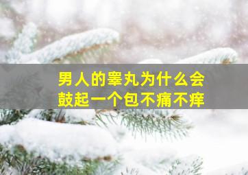 男人的睾丸为什么会鼓起一个包不痛不痒