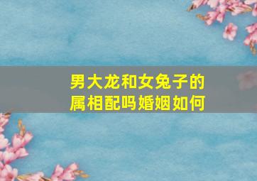 男大龙和女兔子的属相配吗婚姻如何