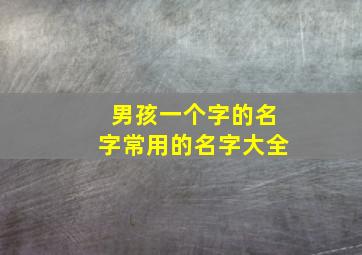 男孩一个字的名字常用的名字大全