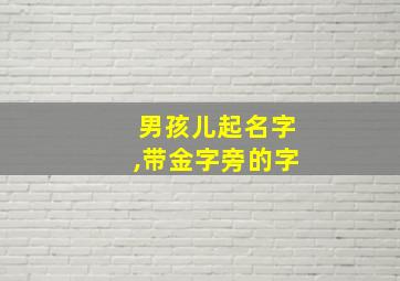 男孩儿起名字,带金字旁的字