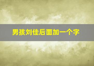 男孩刘佳后面加一个字