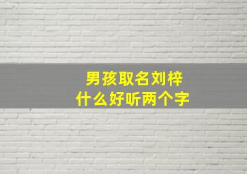 男孩取名刘梓什么好听两个字