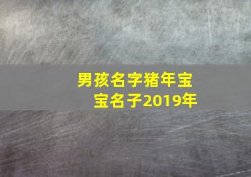 男孩名字猪年宝宝名子2019年