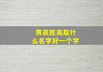 男孩姓高取什么名字好一个字