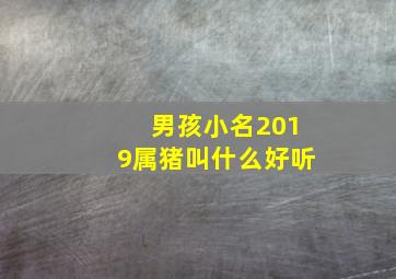 男孩小名2019属猪叫什么好听