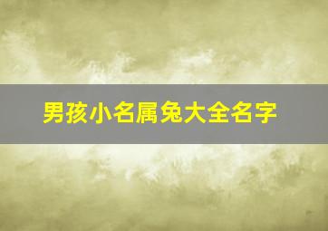 男孩小名属兔大全名字