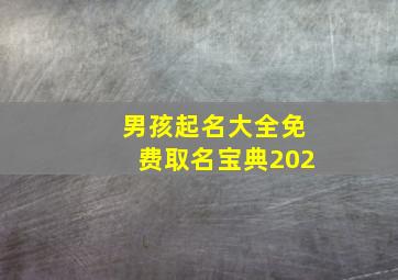 男孩起名大全免费取名宝典202