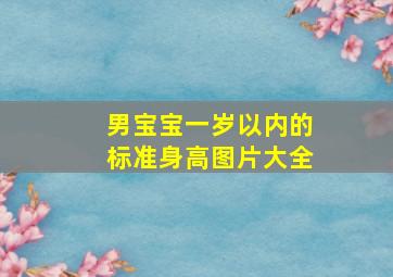 男宝宝一岁以内的标准身高图片大全