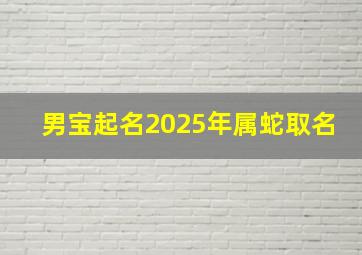 男宝起名2025年属蛇取名