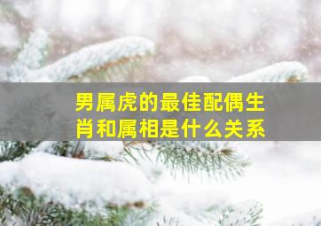 男属虎的最佳配偶生肖和属相是什么关系