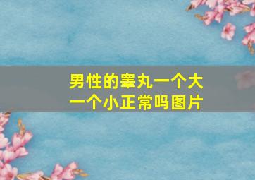 男性的睾丸一个大一个小正常吗图片