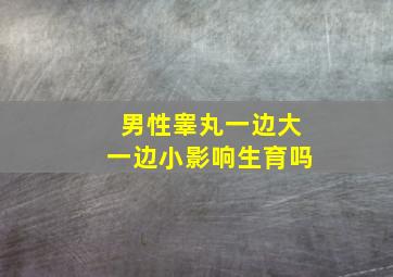 男性睾丸一边大一边小影响生育吗