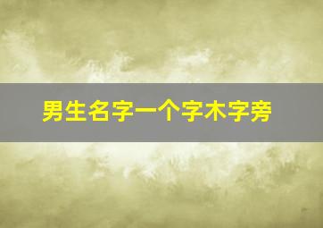 男生名字一个字木字旁