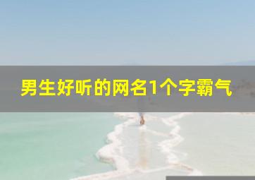 男生好听的网名1个字霸气