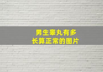 男生睾丸有多长算正常的图片