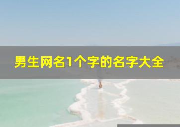 男生网名1个字的名字大全