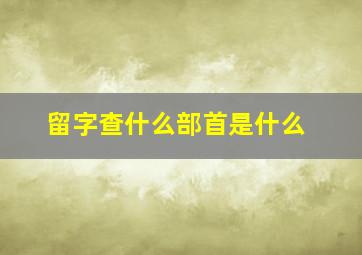 留字查什么部首是什么