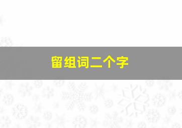 留组词二个字