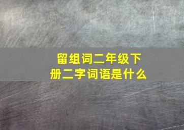 留组词二年级下册二字词语是什么