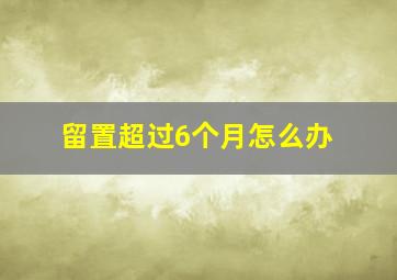 留置超过6个月怎么办